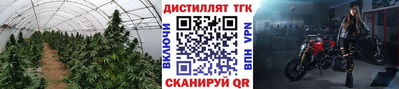 Купить где  Бирск  Дистиллят ТГК гашишное масло 