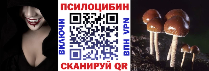 Псилоцибиновые грибы прущие грибы Купить Бирск